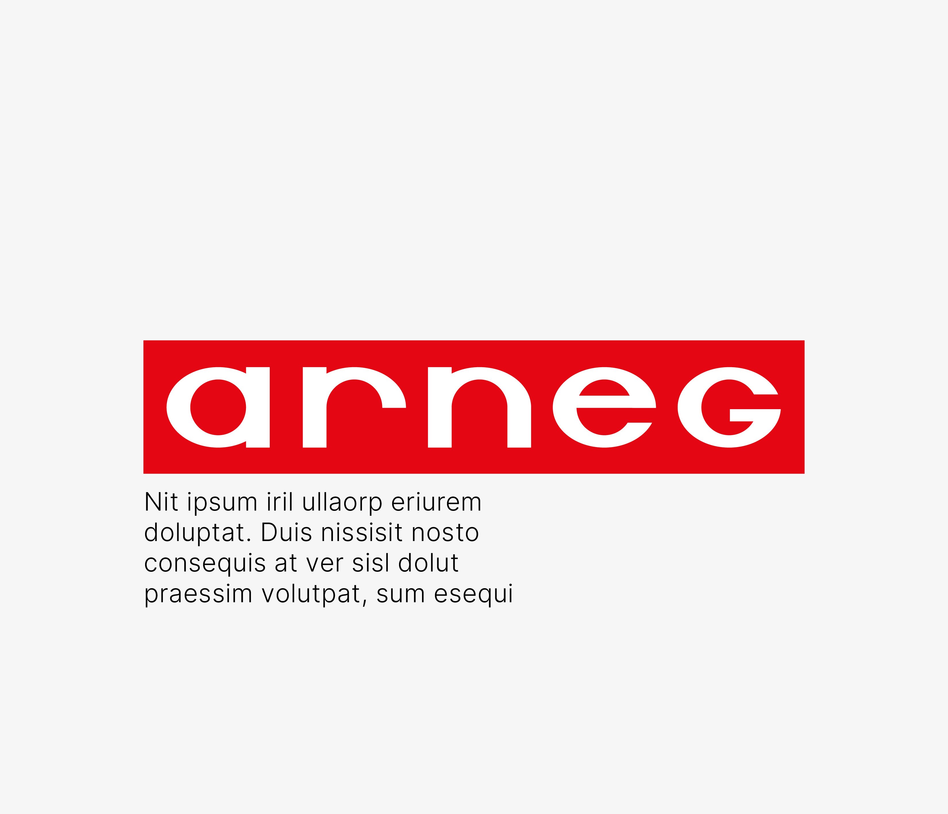 Logo-Arneg_Do_s dont_s_004_V01