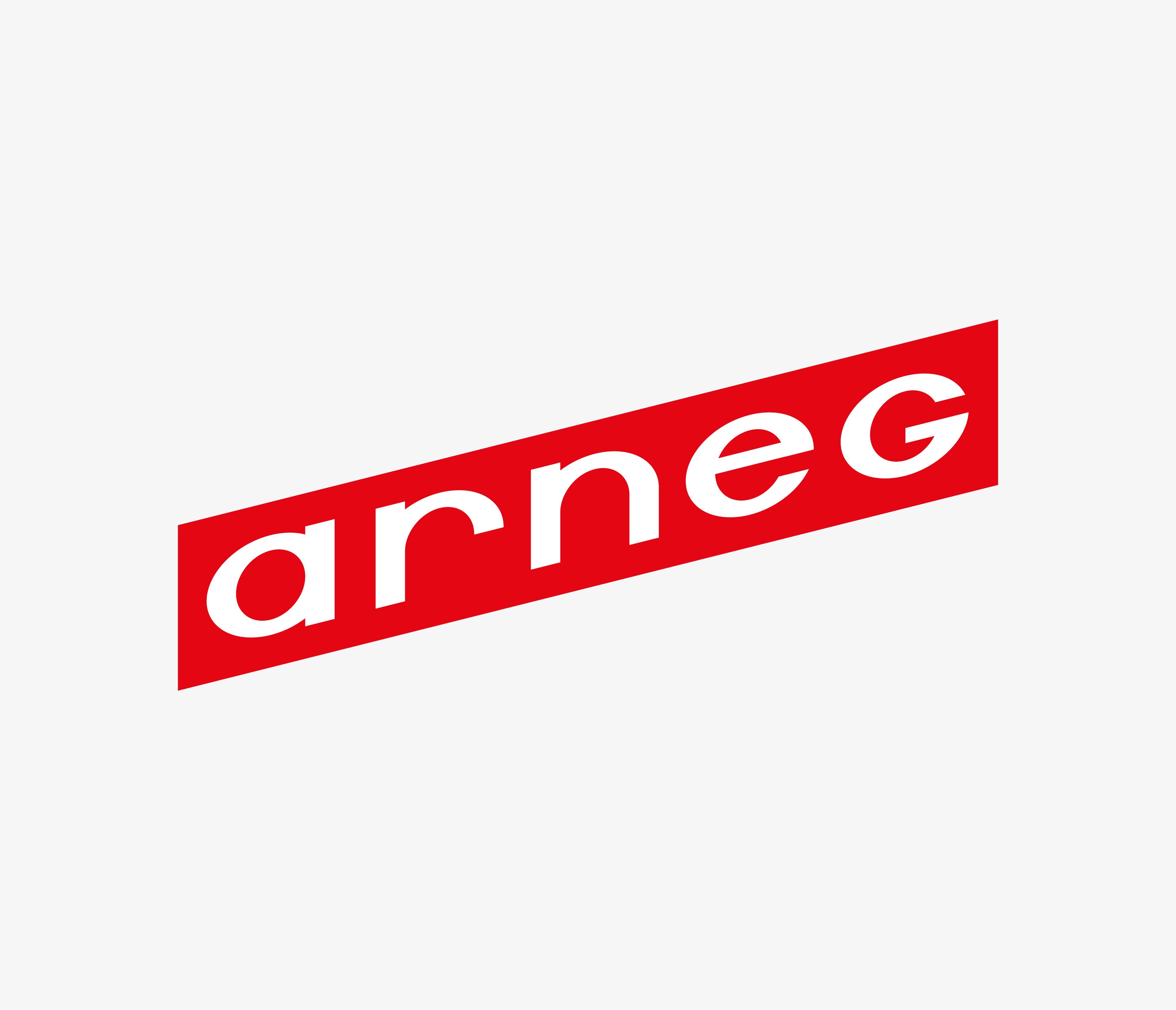 Logo-Arneg_Do_s dont_s_006_V01