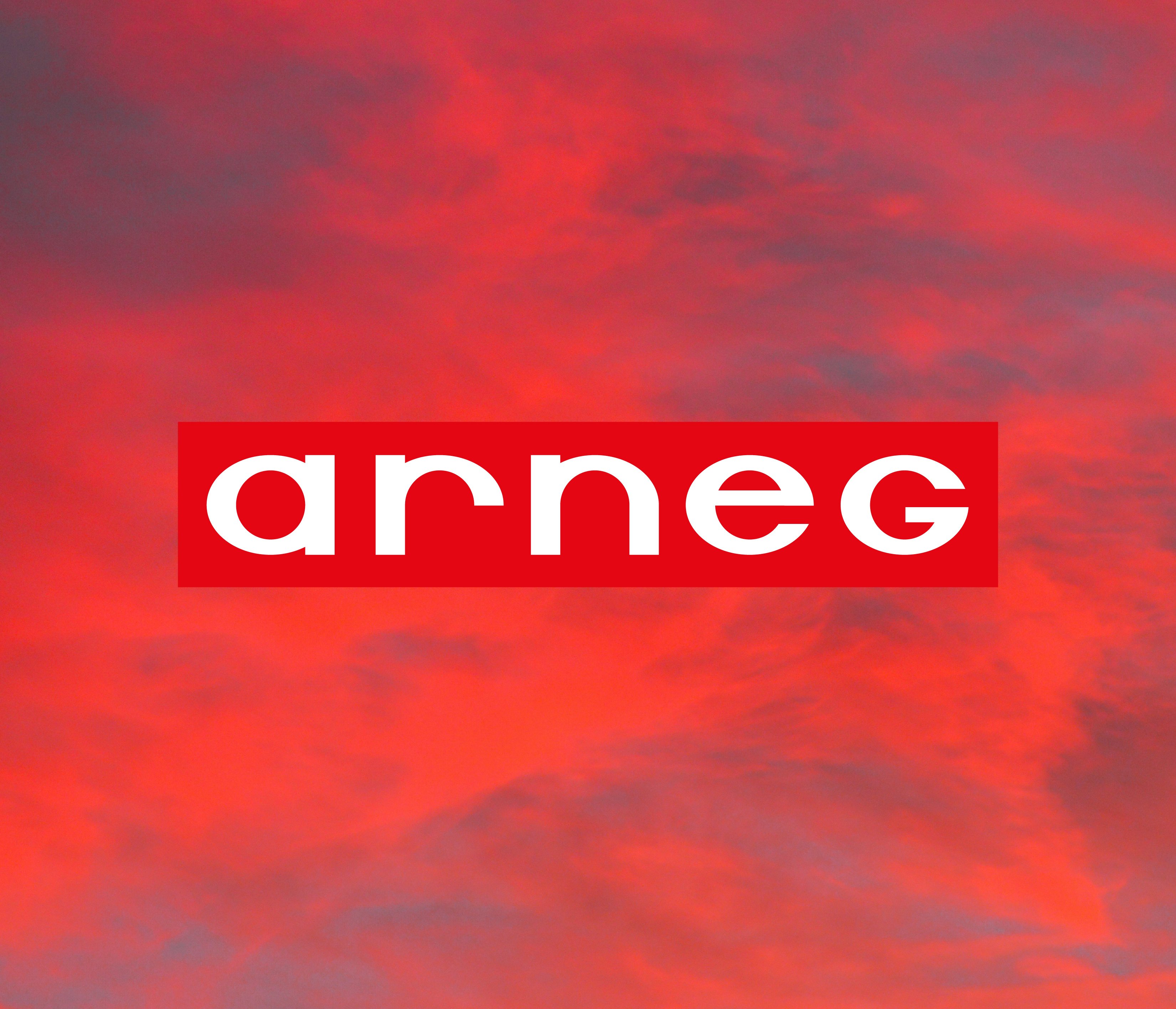 Logo-Arneg_Do_s dont_s_007_V01