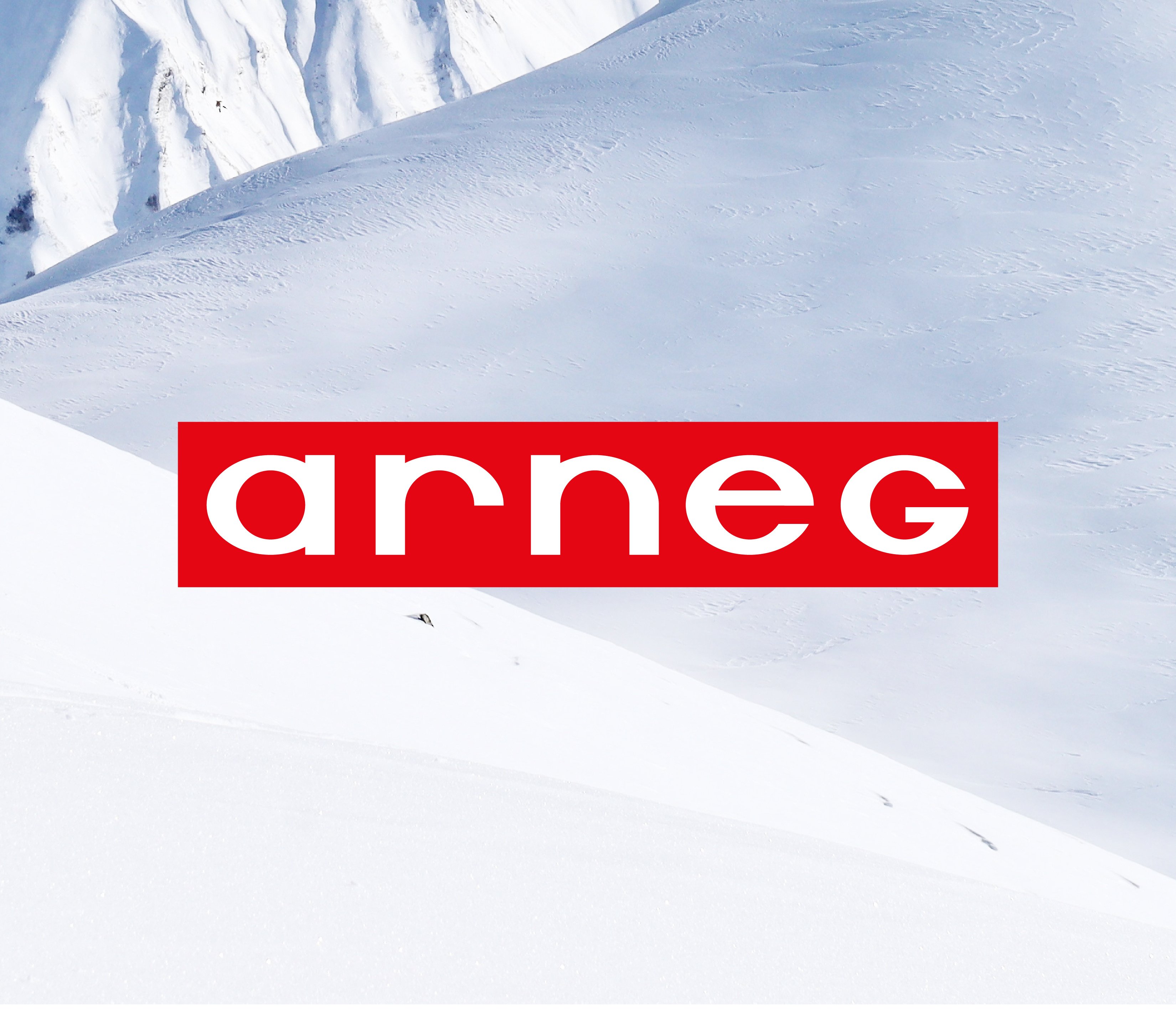 Logo-Arneg_Do_s dont_s_008_V01