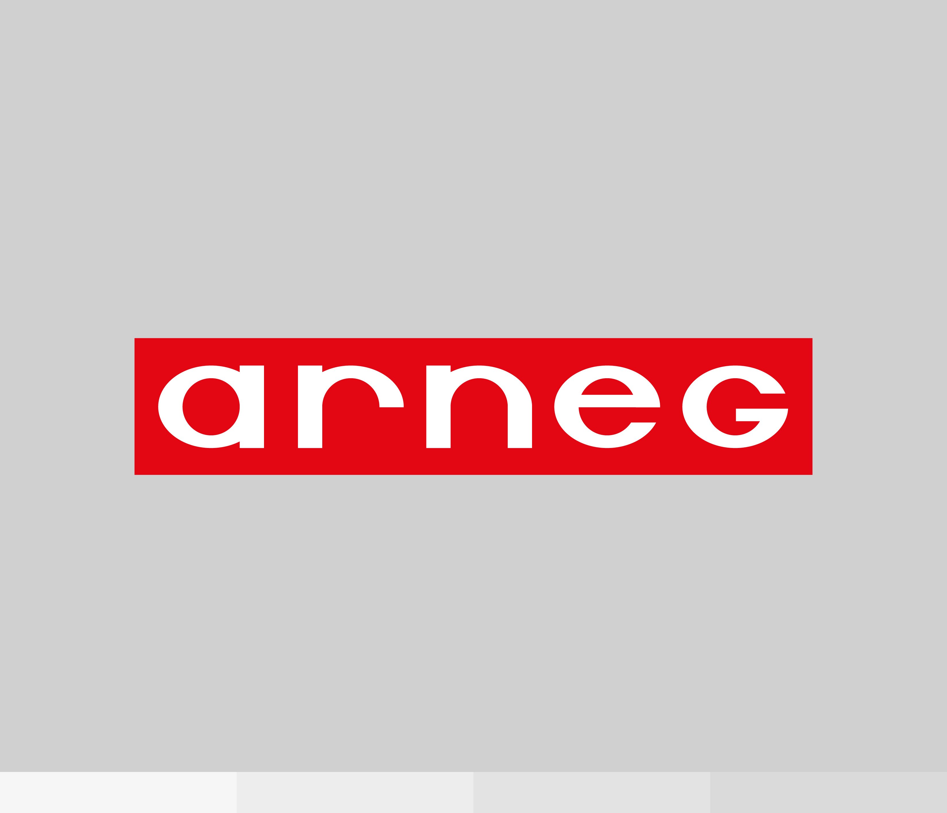 Logo-Arneg_Versioni_Logo-Colore-fondocompatibile02_004_V02