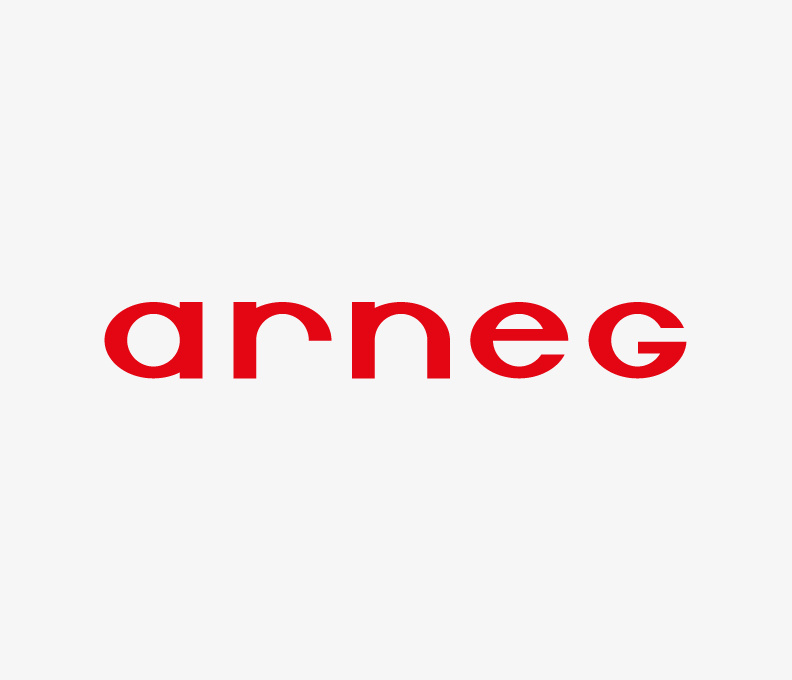 Logo-Arneg_Versioni_NoBox-Logo-Colore_007_V01